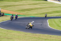 Evening Low_Mid Group Yellow Bikes